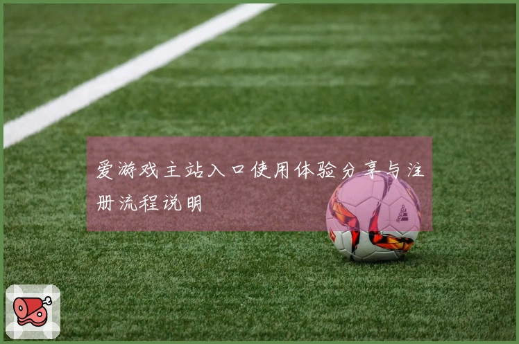 爱游戏主站入口使用体验分享与注册流程说明